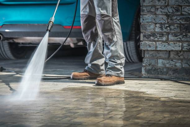 Best House Exterior Washing  in Winchester, IL