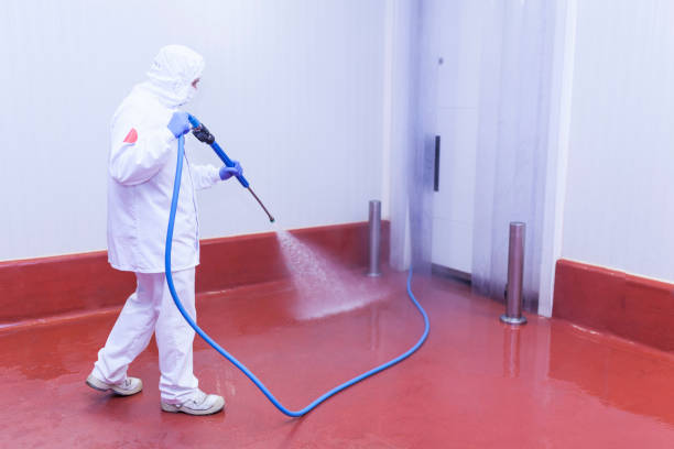 Best Sidewalk and Walkway Cleaning  in Winchester, IL
